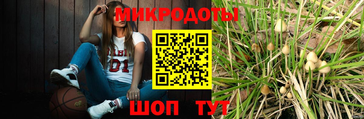 Кизилюрт  Псилоцибиновые грибы Cubensis  Вход с VPN  сколько стоит  Галлюциногенные грибы Magic Shrooms 