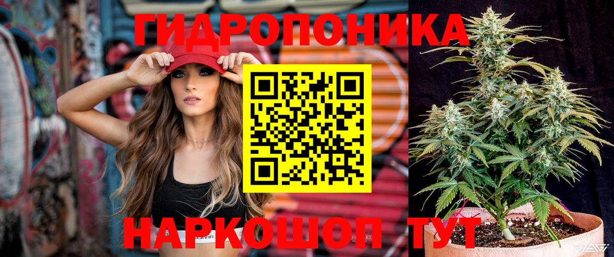 Бошки марихуана марихуана Кизилюрт